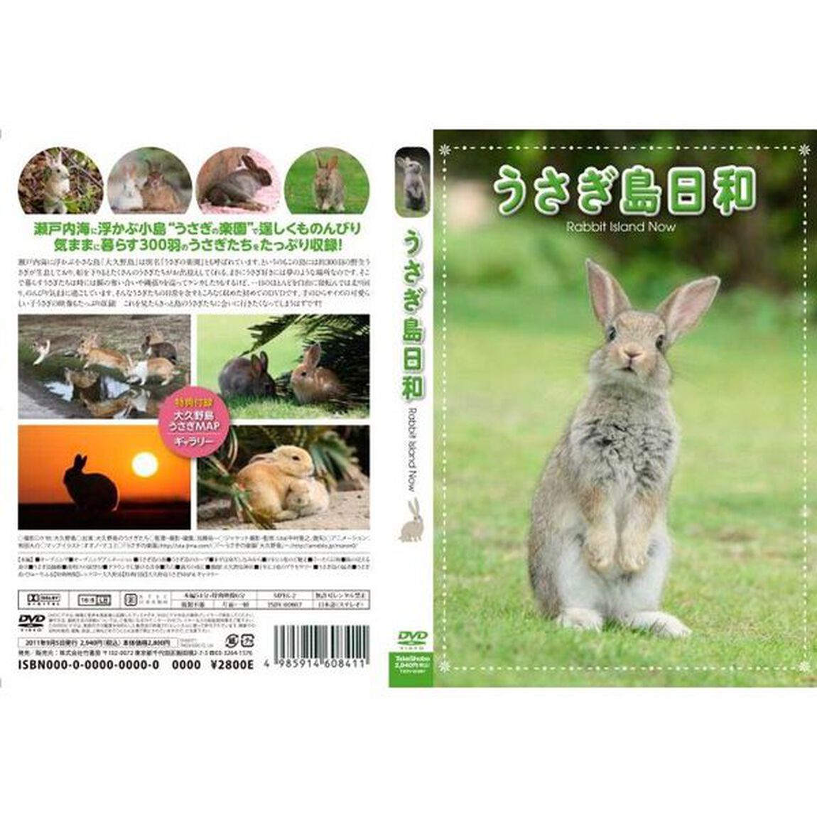 うさぎ島日和（ＤＶＤ）