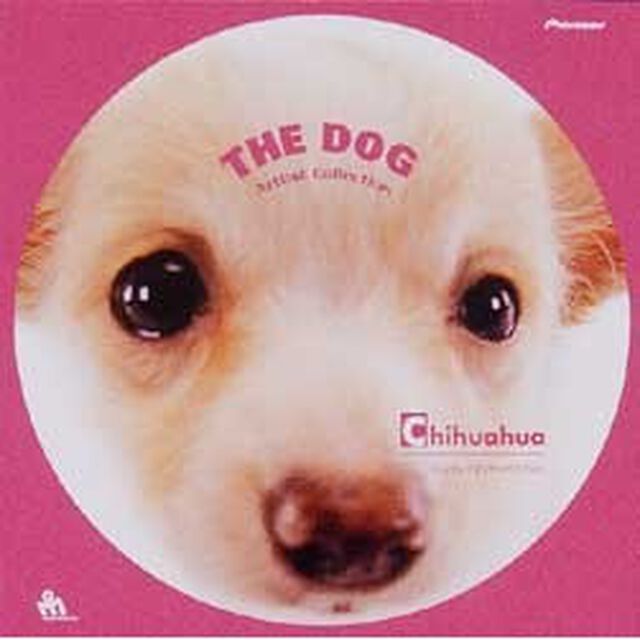 THE　DOG　チワワ（ＤＶＤ）