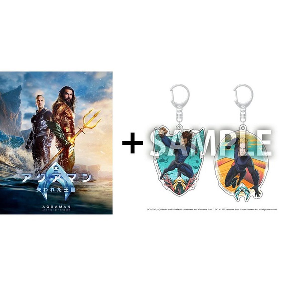 アクアマン／失われた王国 ブルーレイ＆DVDセット ＜初回仕様／ブックレット付＞（アクリルキーホルダー2種セット付限定版）（Ｂｌｕ－ｒａｙ　Ｄｉｓｃ）