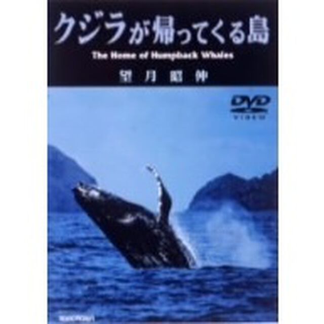 クジラが帰ってくる島（ＤＶＤ）