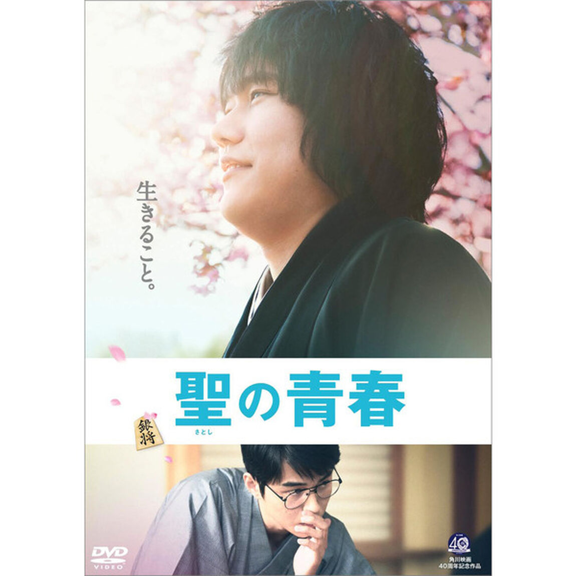 聖の青春（ＤＶＤ）