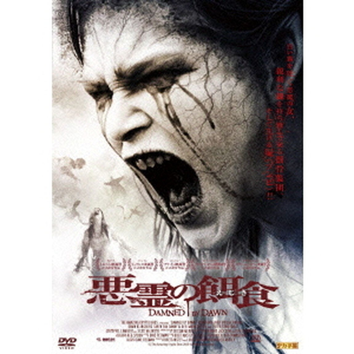 悪霊の餌食　ブラッディ・アイランド（ＤＶＤ）