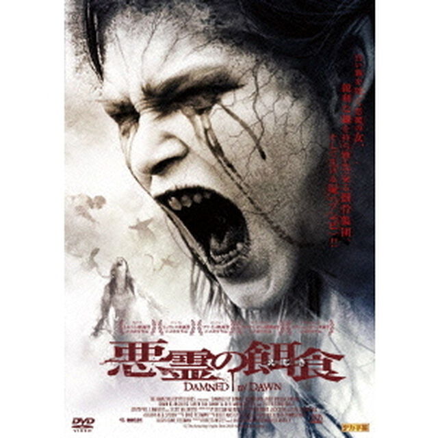悪霊の餌食　ブラッディ・アイランド（ＤＶＤ）