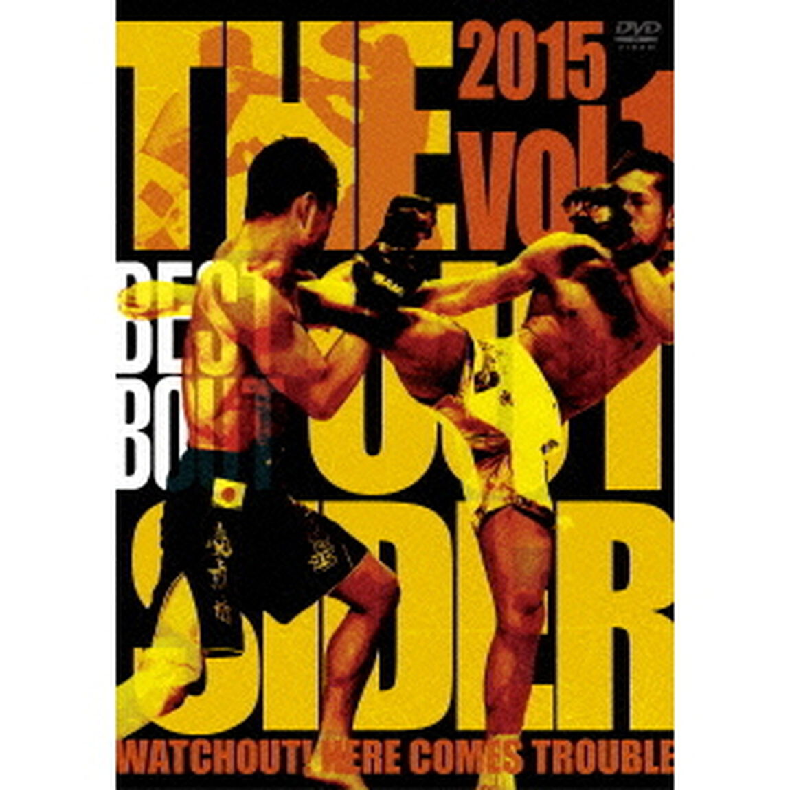 ジ・アウトサイダー　2015　Vol．1　BEST　BOUT（ＤＶＤ）