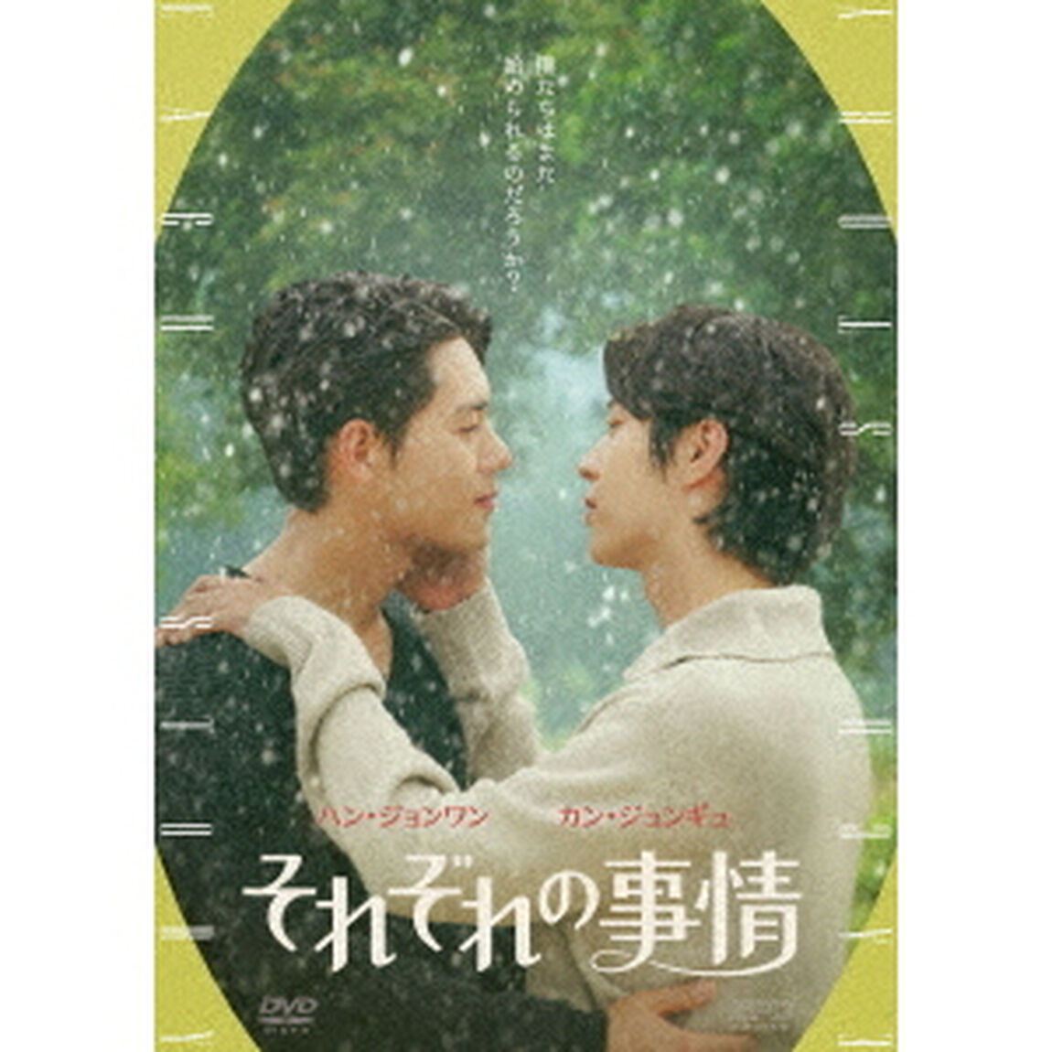 それぞれの事情（ＤＶＤ）