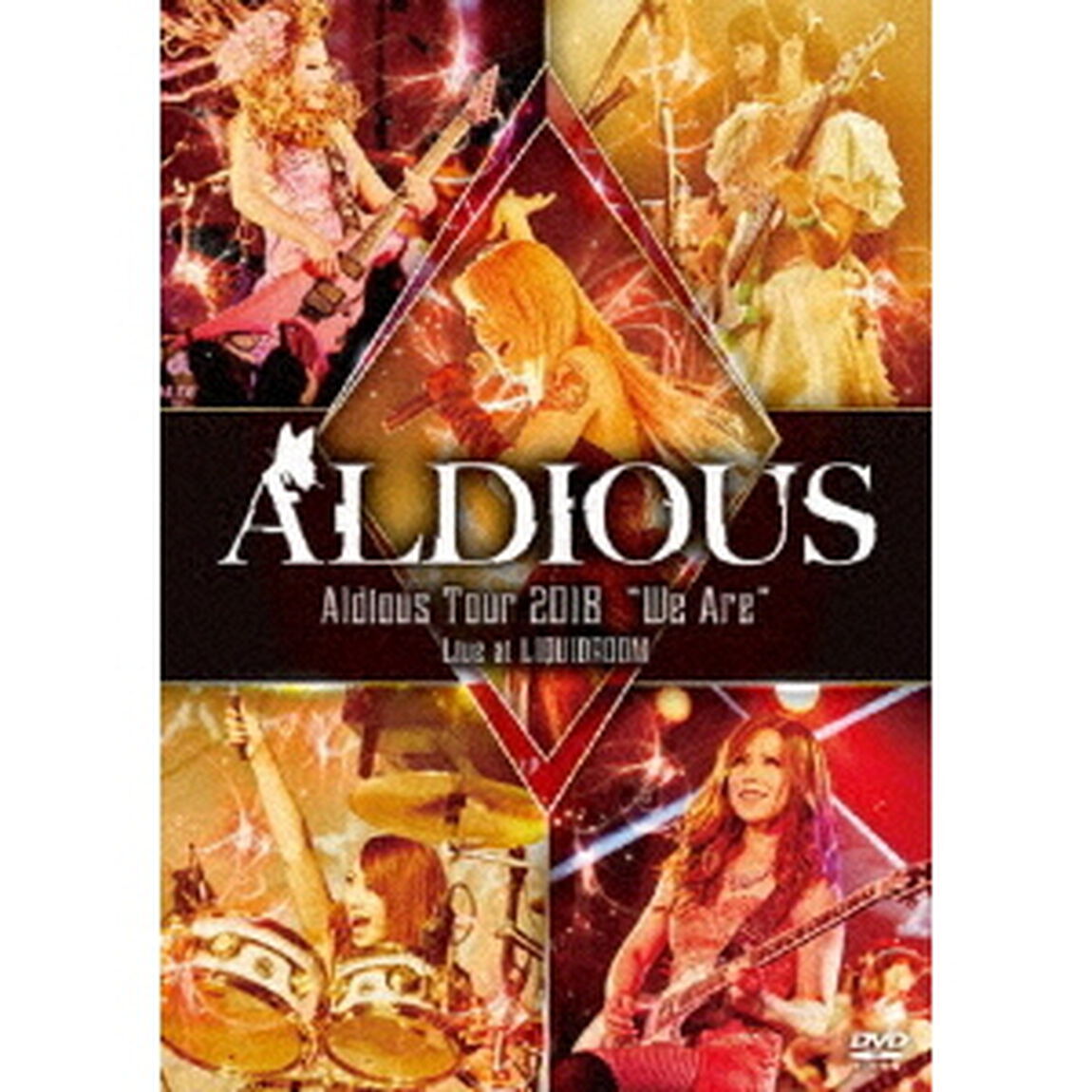 Aldious　Tour　2018&ldquo;We　Are&rdquo;Live　at　LIQUIDROOM（ＤＶＤ）