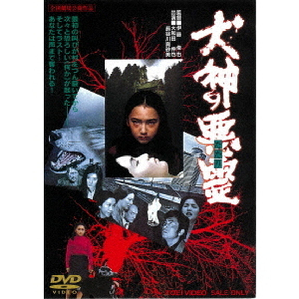 犬神の悪霊（ＤＶＤ）