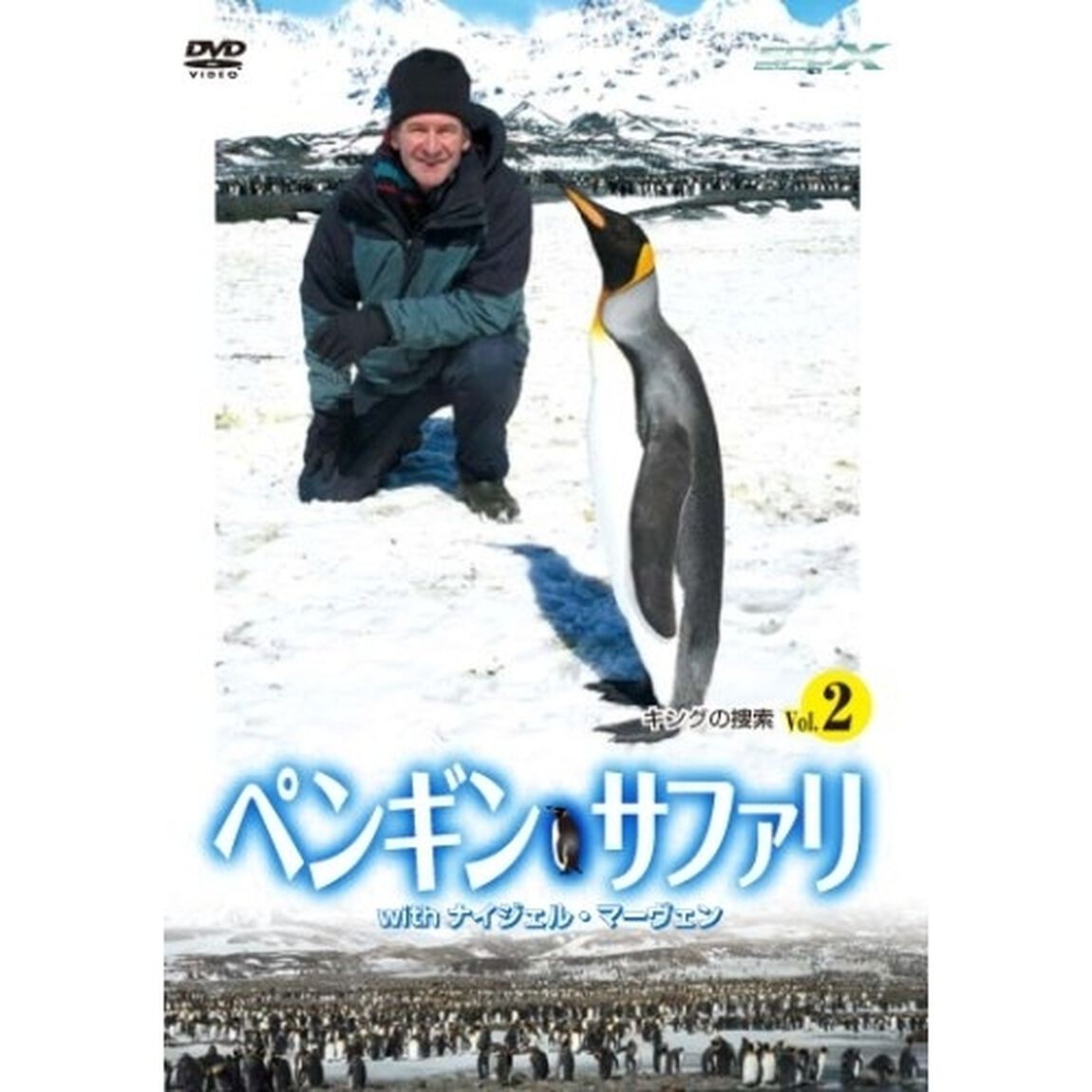 ペンギン・サファリ with ナイジェル・マーヴェン Vol.2（ＤＶＤ）