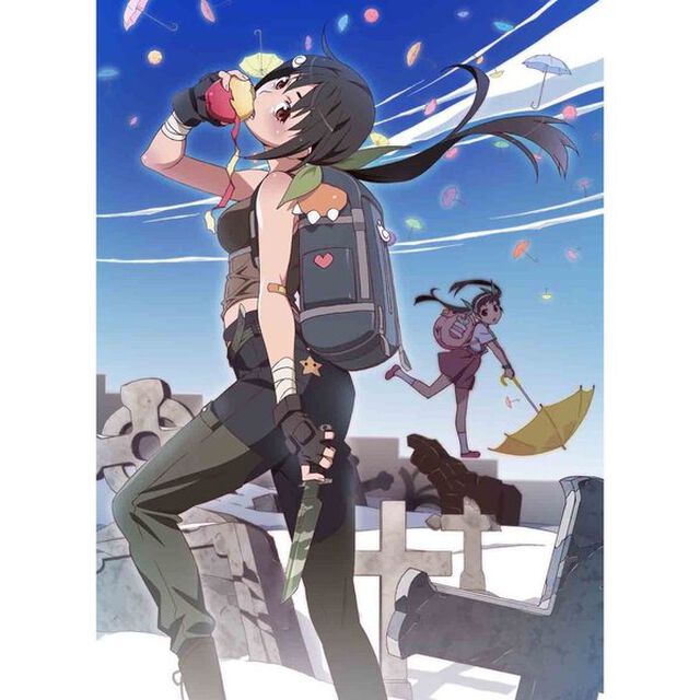 傾物語　2　まよいキョンシー（下）（ＤＶＤ）