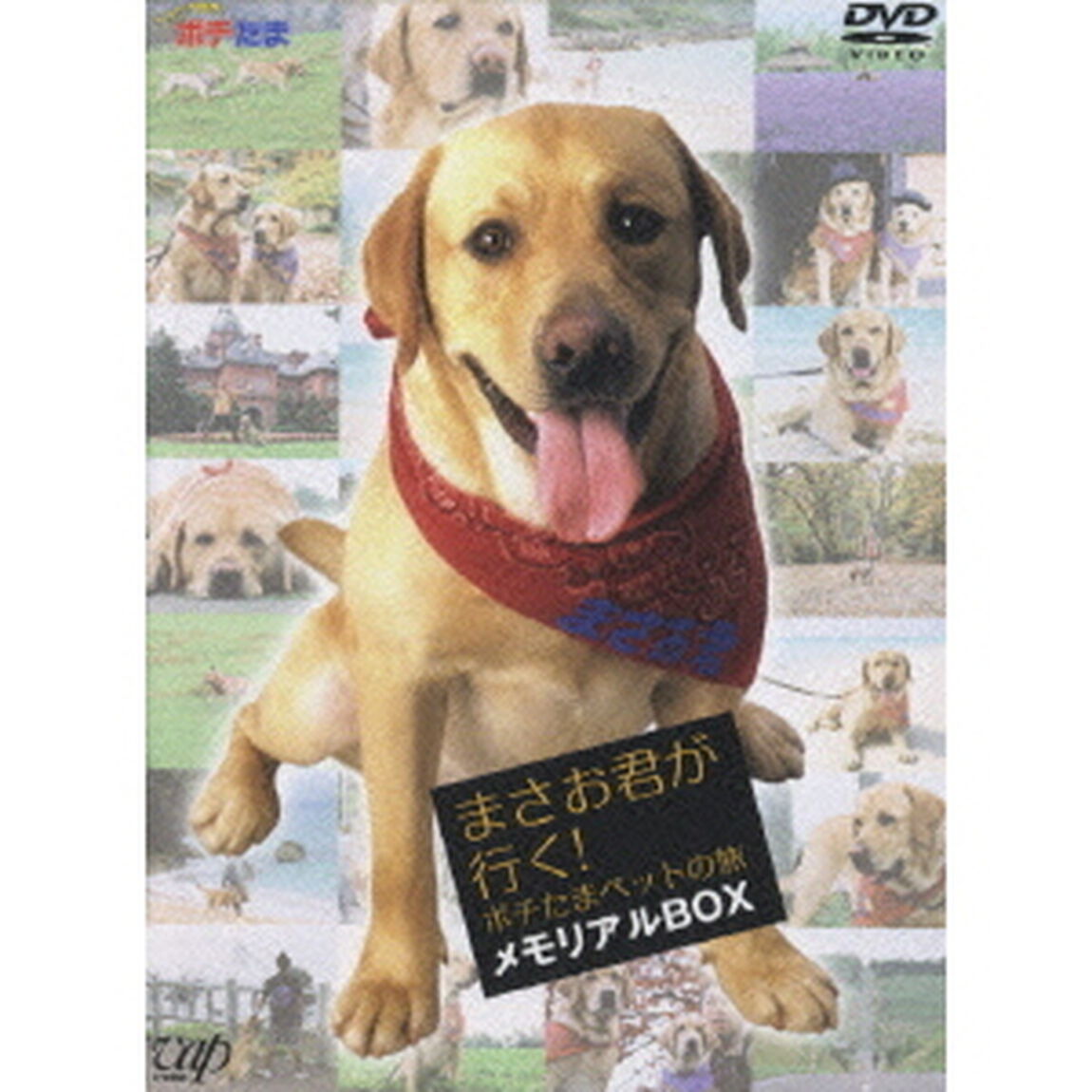 まさお君が行く！ポチたまペットの旅　メモリアルBOX（ＤＶＤ）