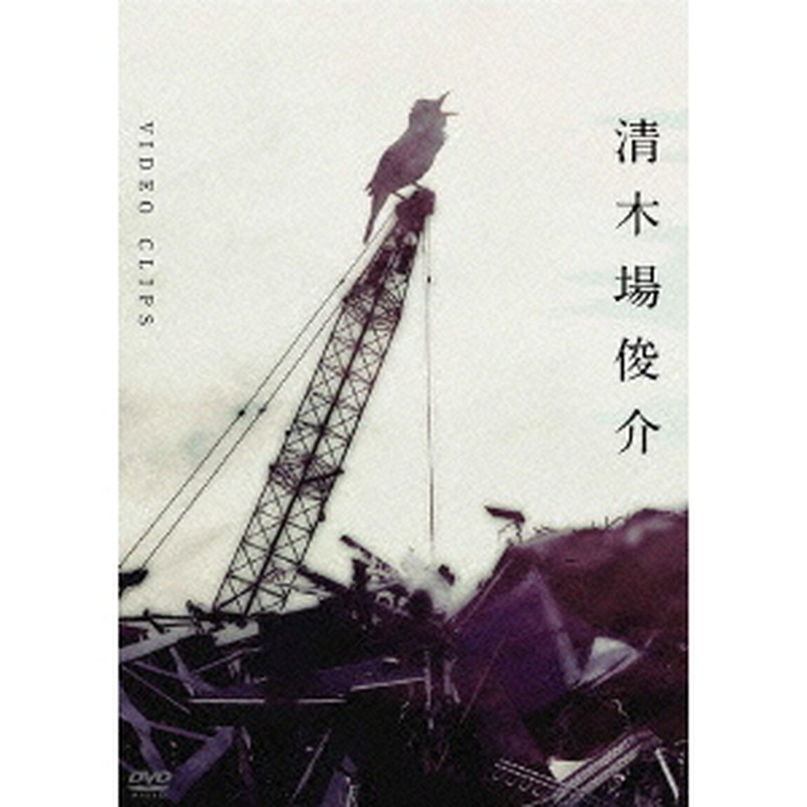 VIDEO　CLIPS（ＤＶＤ）
