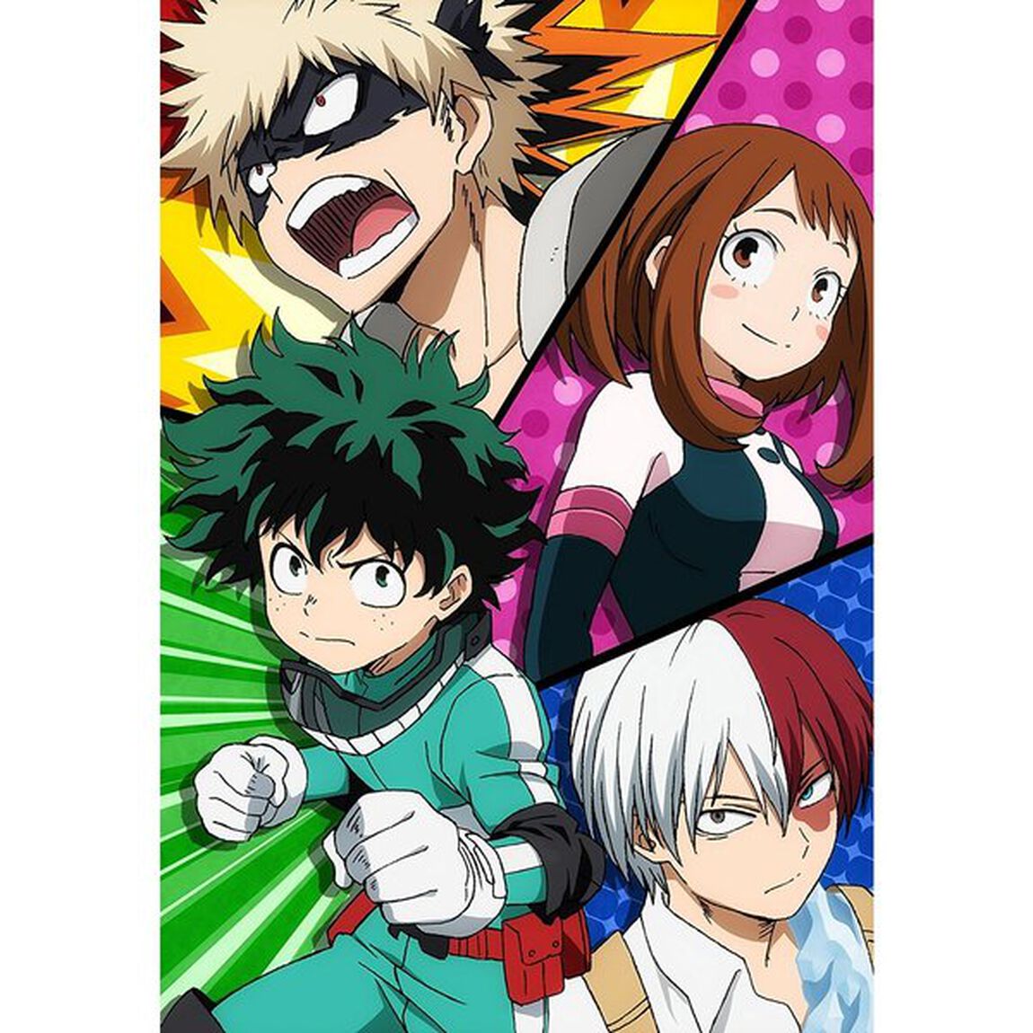 僕のヒーローアカデミア　vol．5（ＤＶＤ）