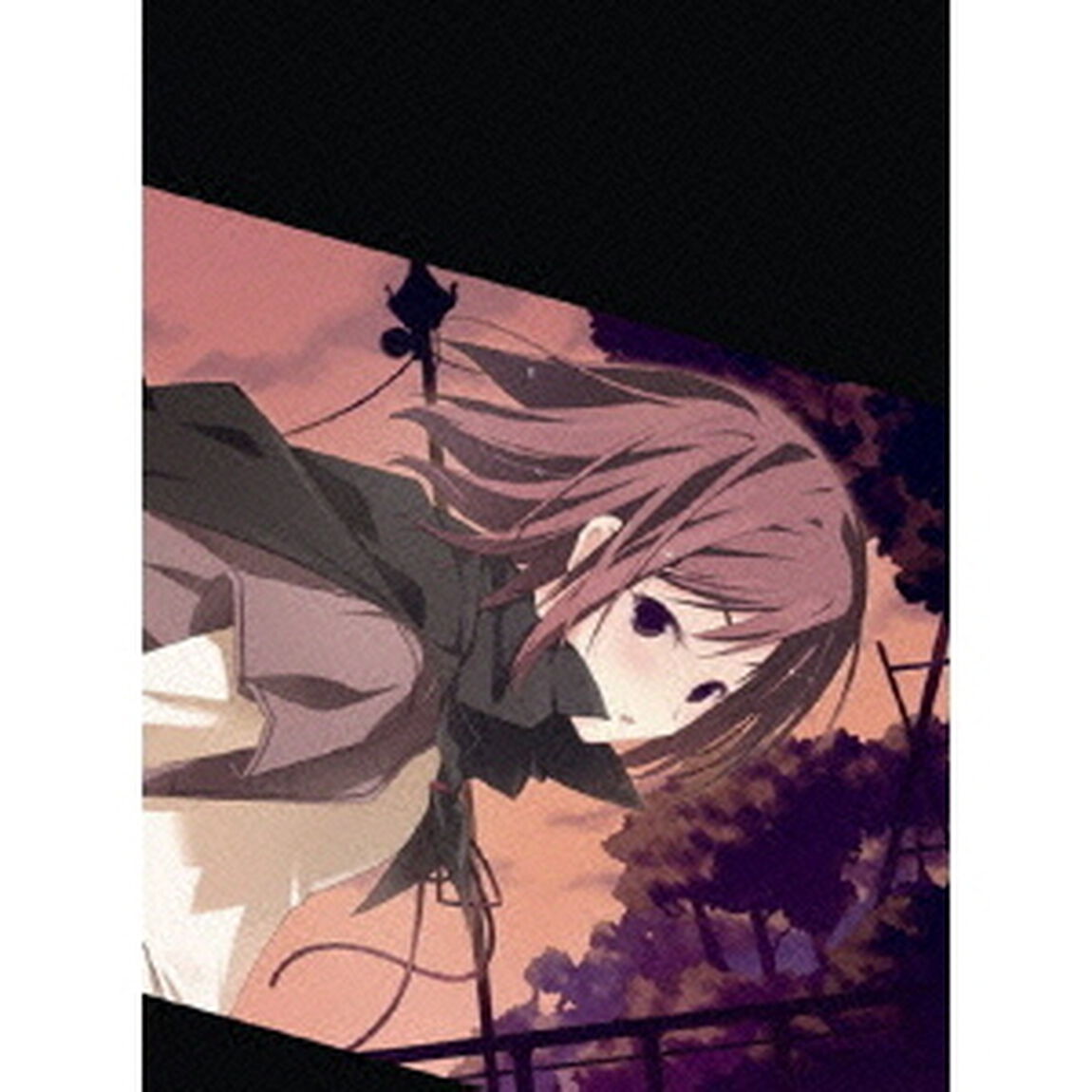 ムシウタ　第2巻（ＤＶＤ）