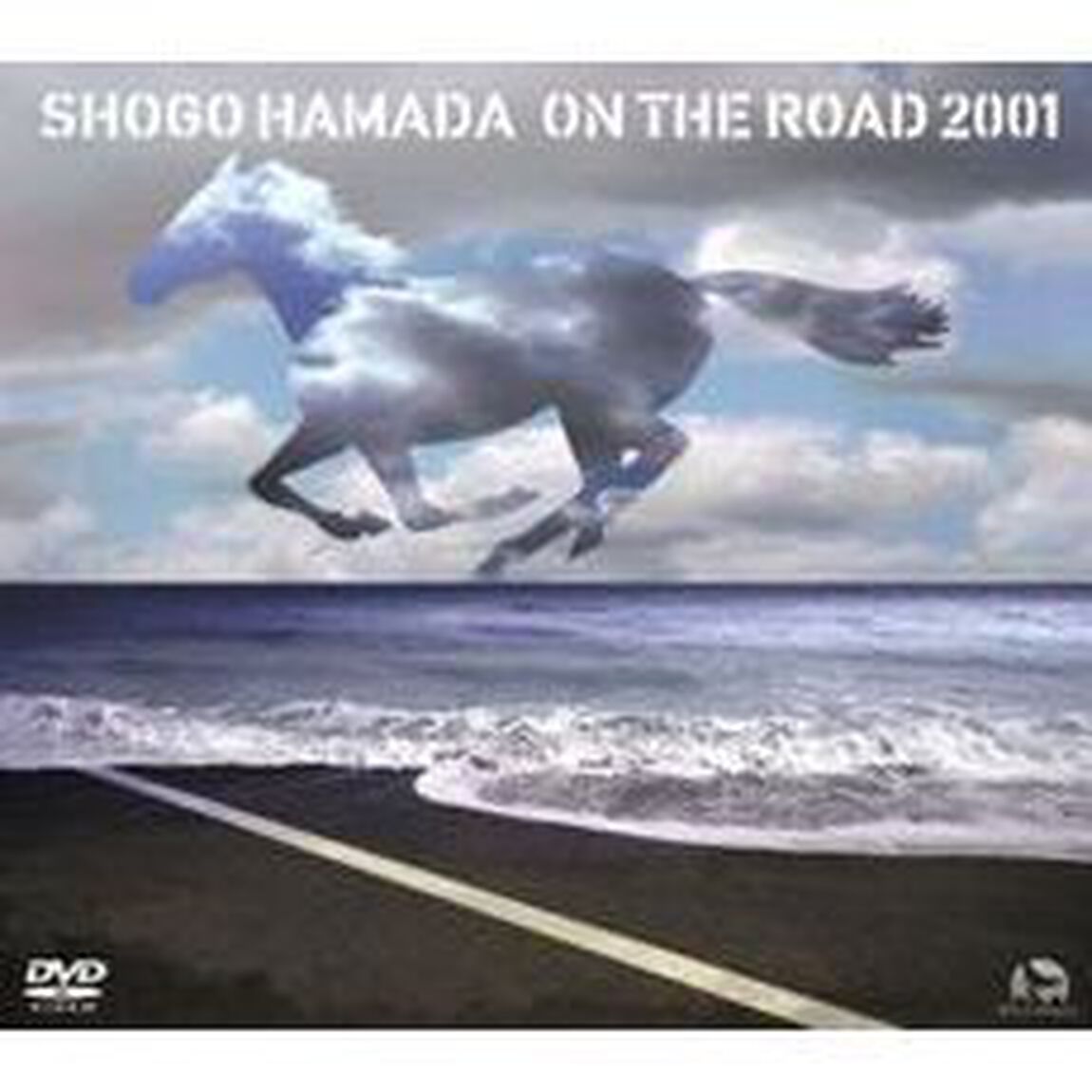 ON　THE　ROAD　2001〜THE　MONOCHROME　RAINBOW／LET　SUMMER（ＤＶＤ）