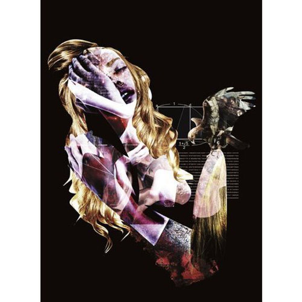 THE　NAMELESS　LIBERTY　AT　10．12．26　TOKYO　DOME（ＤＶＤ）