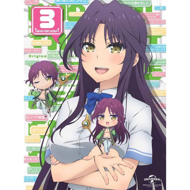 ネトゲの嫁は女の子じゃないと思った？　第3巻（Ｂｌｕ－ｒａｙ　Ｄｉｓｃ）