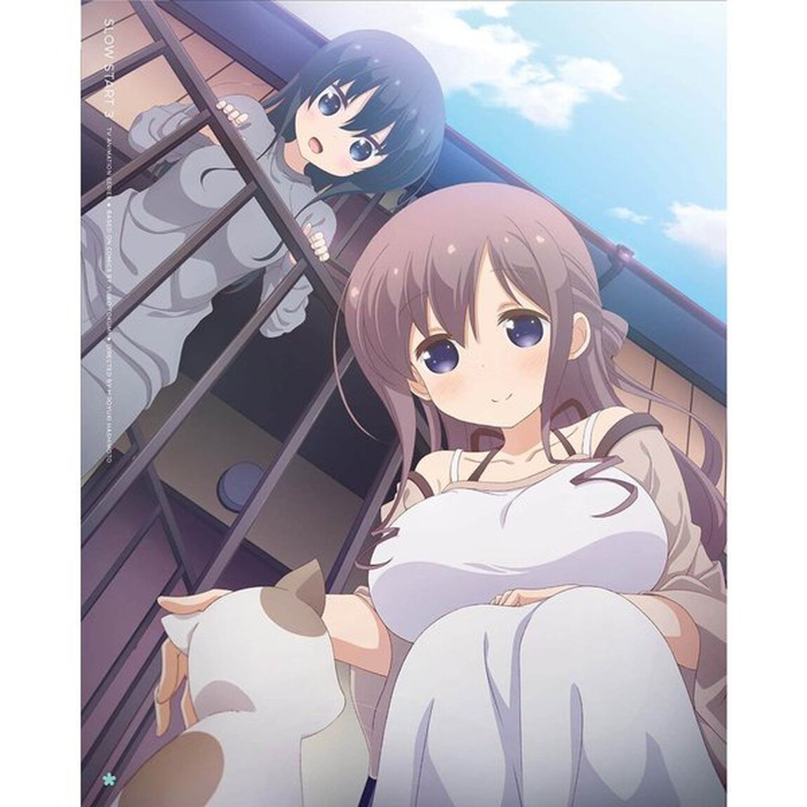 スロウスタート 3 ＜完全生産限定版＞（ＤＶＤ）