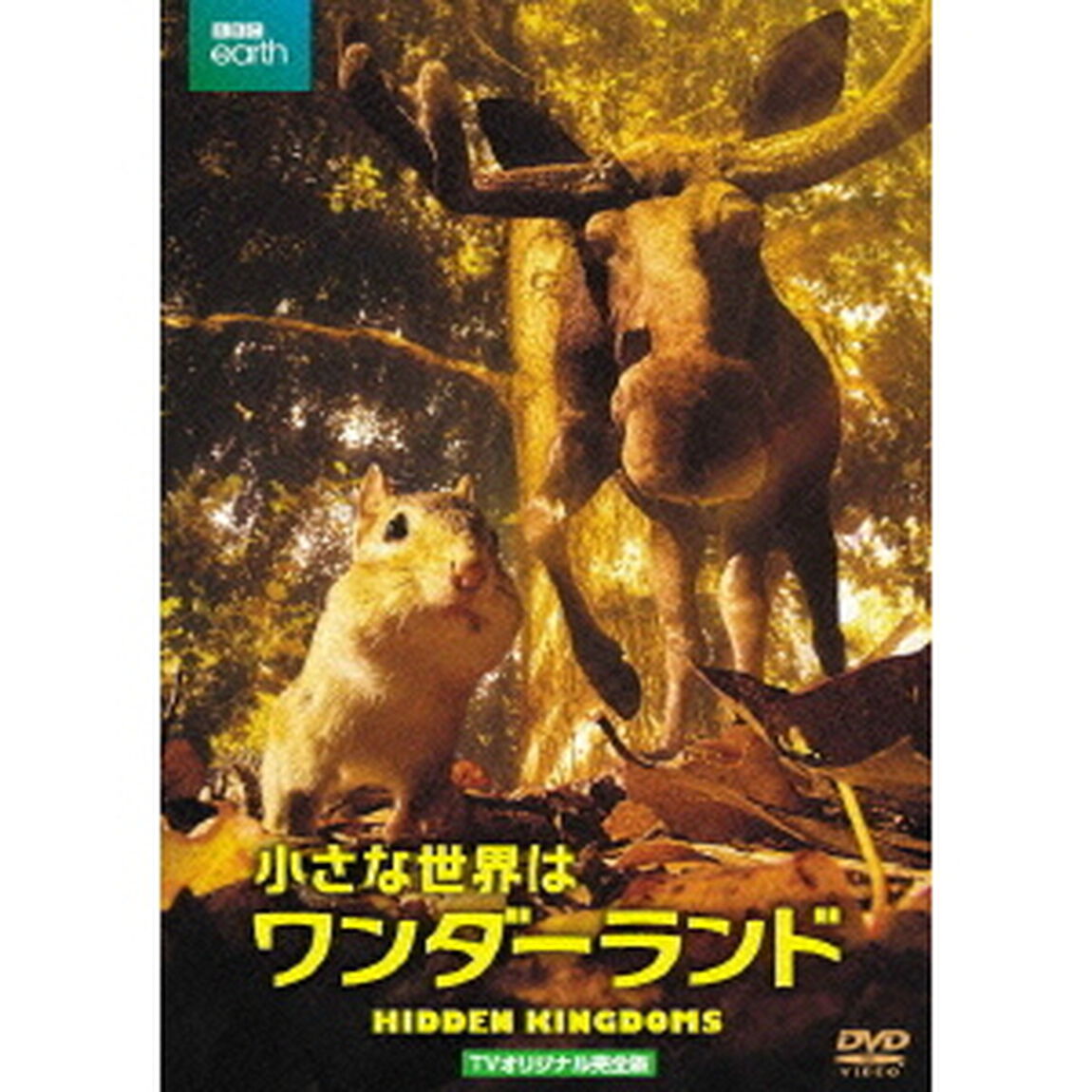 小さな世界はワンダーランド　TVオリジナル完全版（ＤＶＤ）