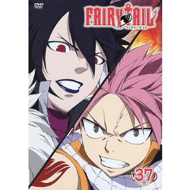 FAIRY TAIL 37（ＤＶＤ）