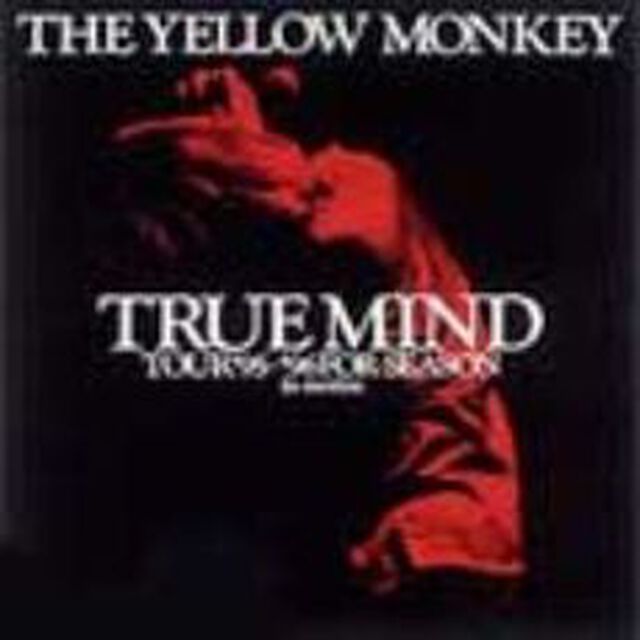 TRUE　MIND　TOUR｀95〜｀96　FOR　SEASON：in　motion（ＤＶＤ）
