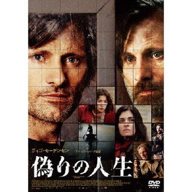 偽りの人生（ＤＶＤ）