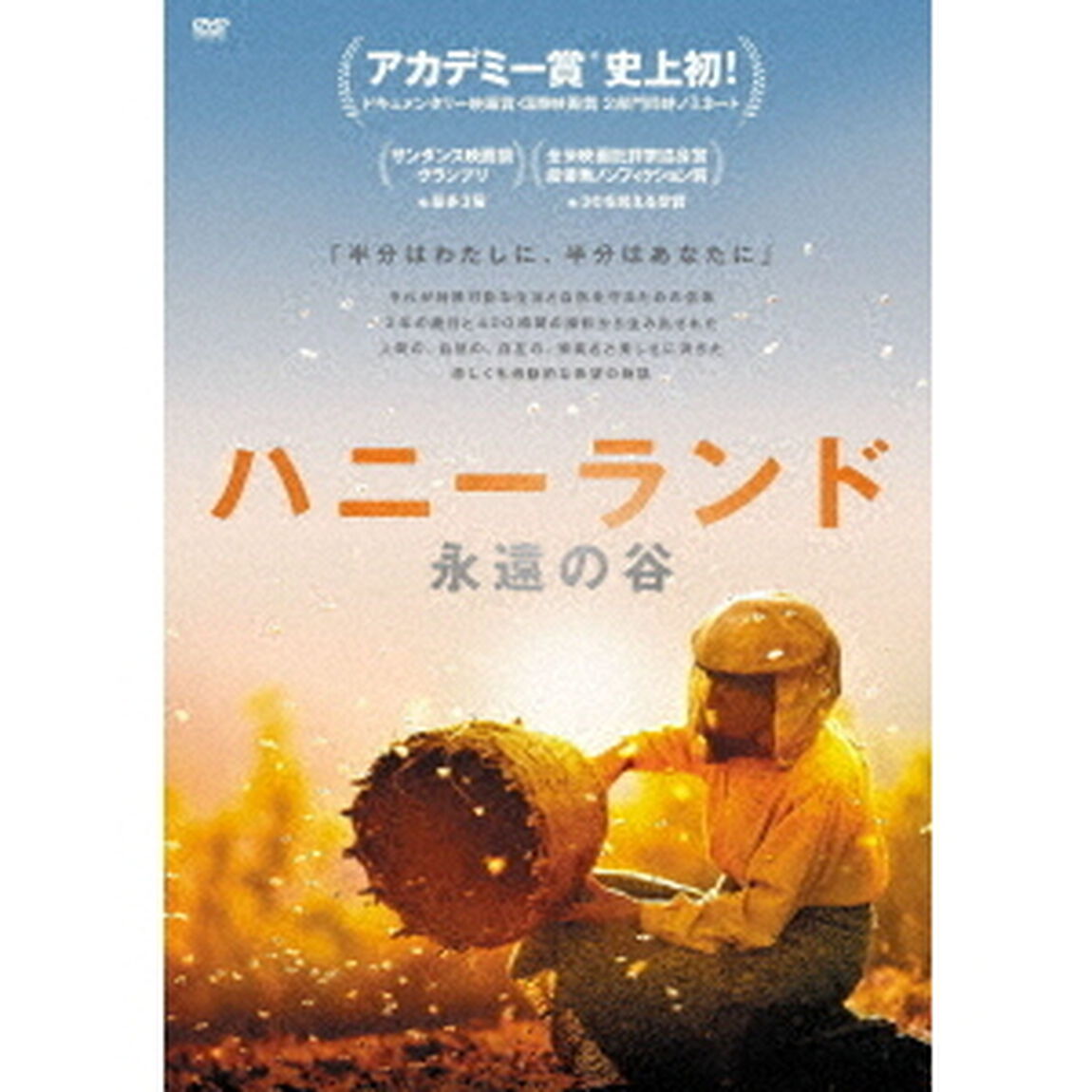 ハニーランド　永遠の谷（ＤＶＤ）
