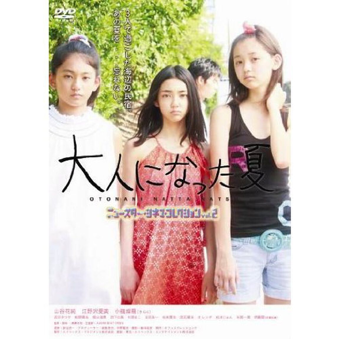 大人になった夏（ＤＶＤ）