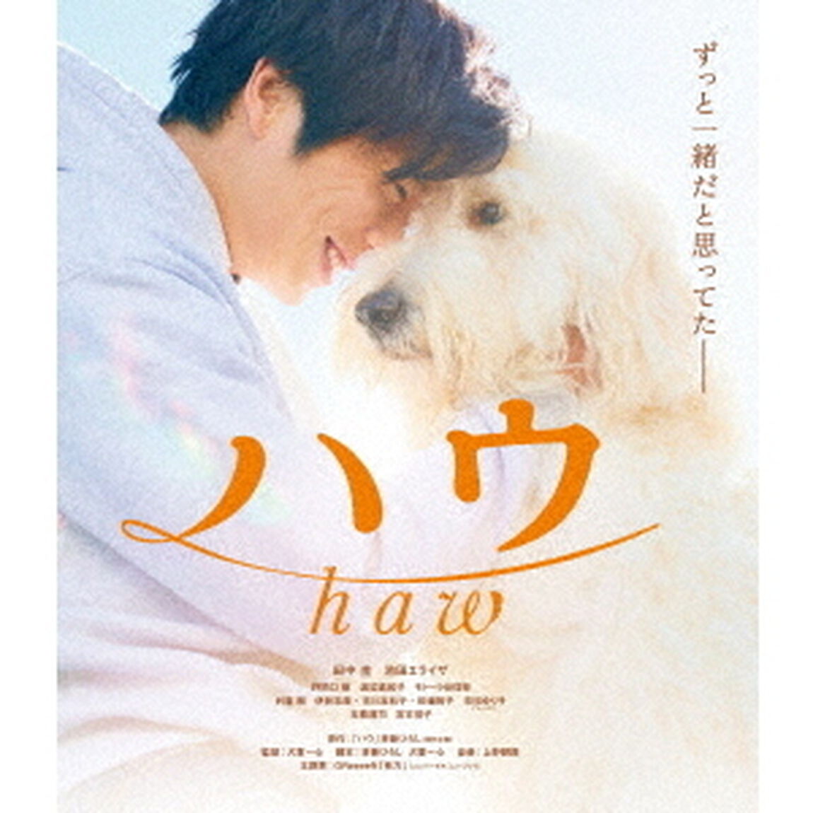 ハウ（Ｂｌｕ－ｒａｙ　Ｄｉｓｃ）