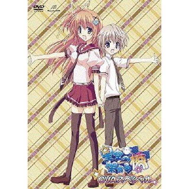 星空へ架かる橋 OVAスペシャル（ＤＶＤ）