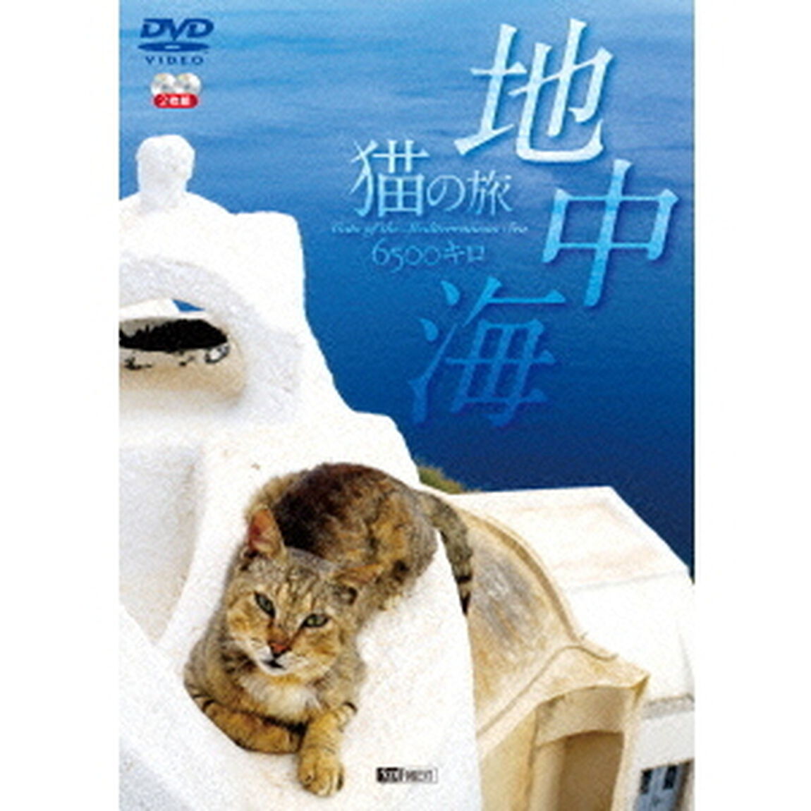 地中海・猫の旅6500キロ　CATS　OF　THE　MEDITERRANEAN　SEA（ＤＶＤ）