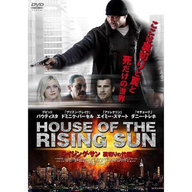 ライジング・サン　裏切りの代償（ＤＶＤ）