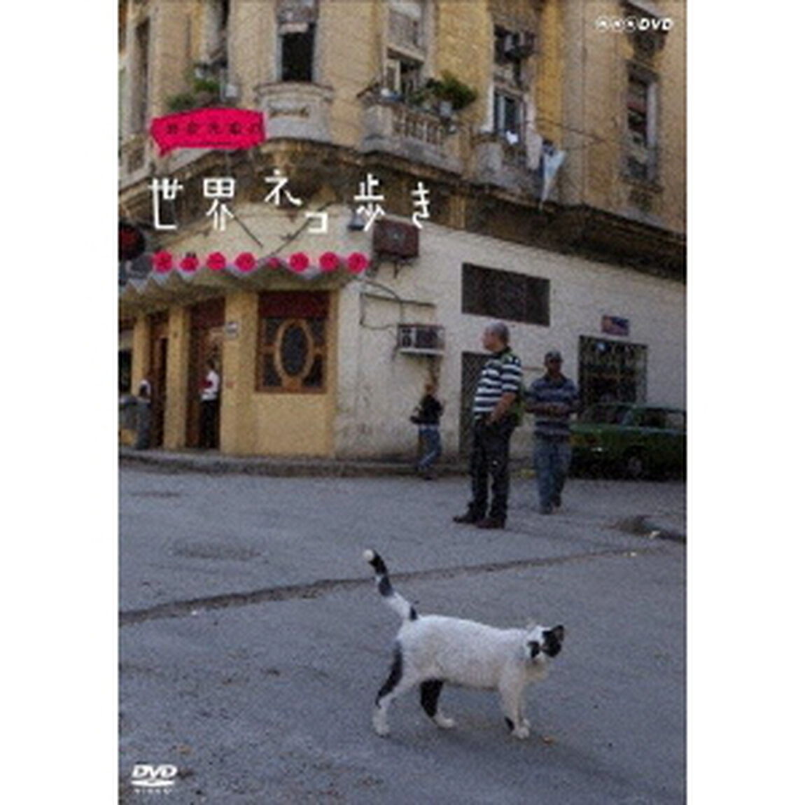 岩合光昭の世界ネコ歩き　キューバ・ハバナ（ＤＶＤ）