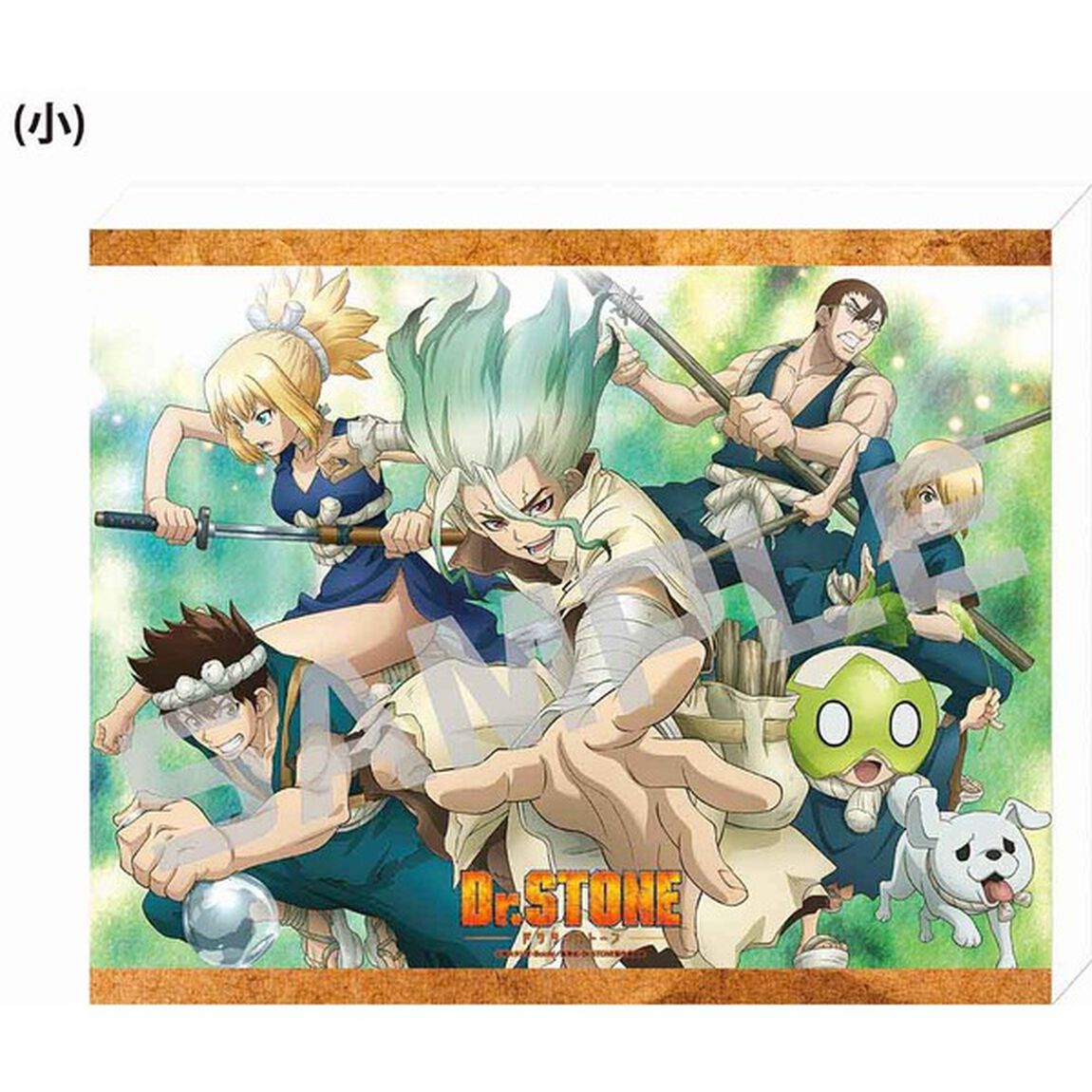 【メタライズアート特集】Ｄｒ．ＳＴＯＮＥ／キャンバスアートボード（小）／集合．ｖｅｒ（セブンネット先行発売）（その他）