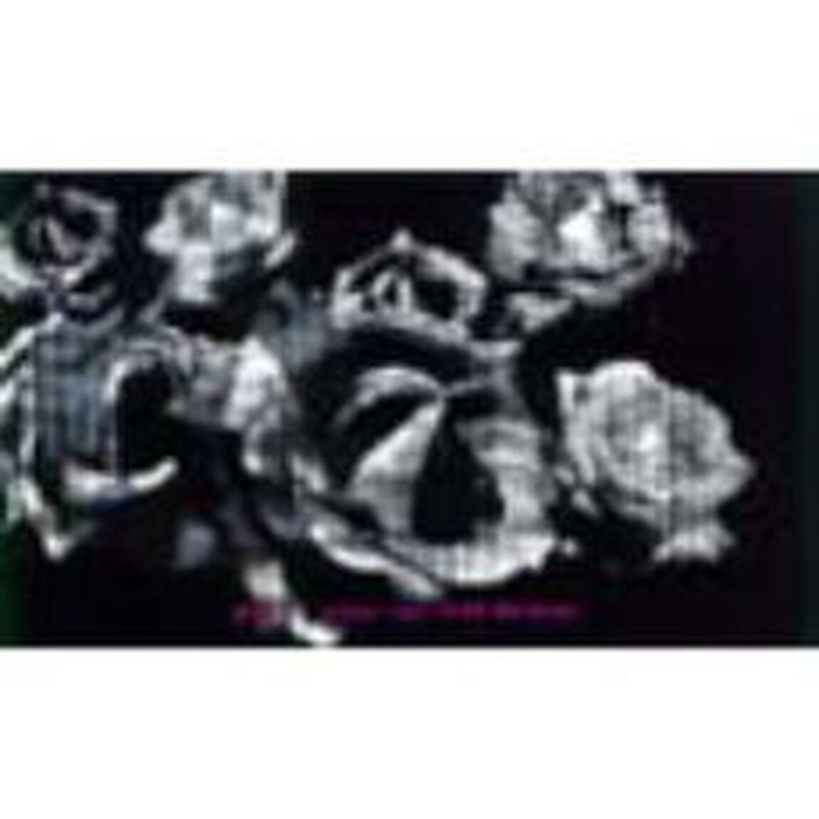 globe　tour　1999　Relation（ＤＶＤ）