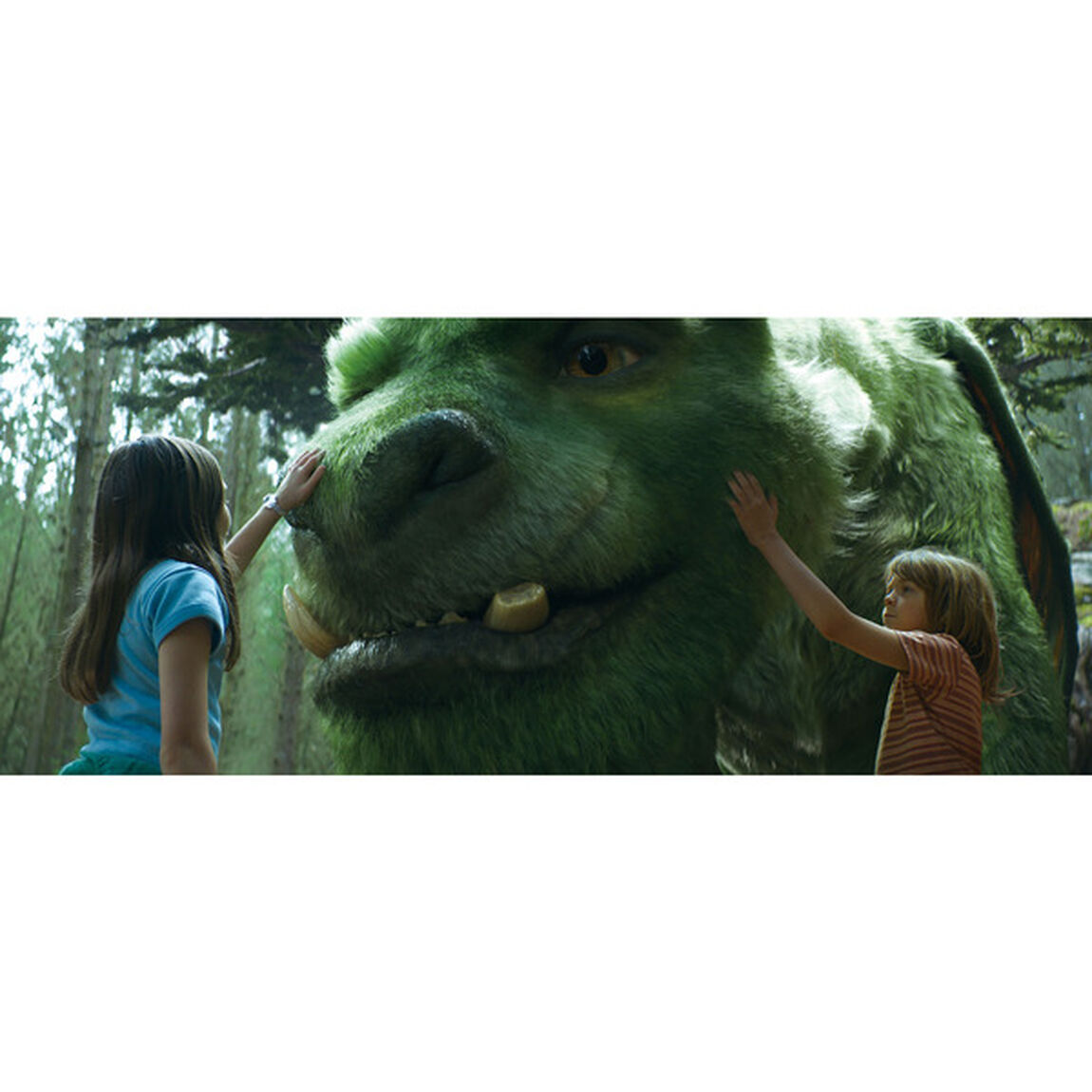 ピートと秘密の友達（Ｂｌｕ－ｒａｙ　Ｄｉｓｃ）