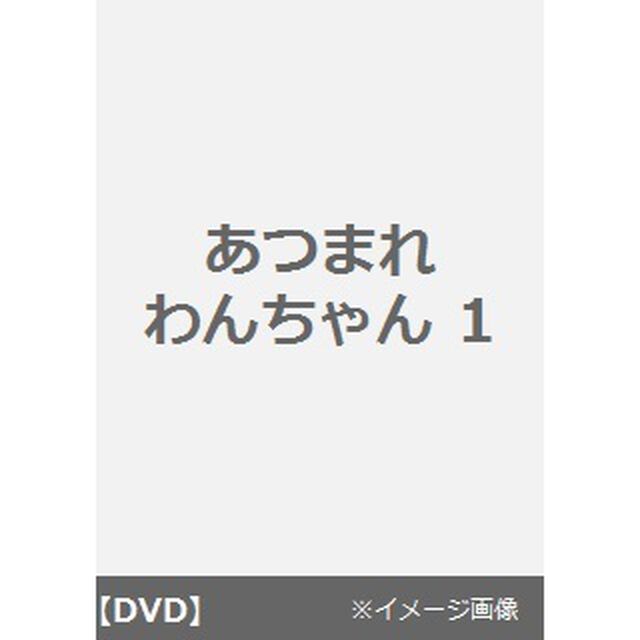 あつまれわんちゃん　1　かっこいいわんちゃんがいっぱい（ＤＶＤ）