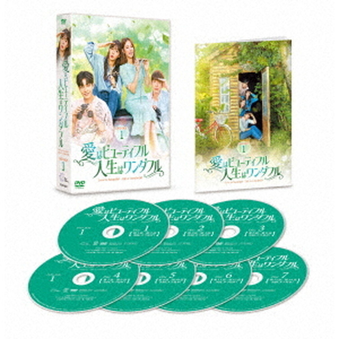 愛はビューティフル、人生はワンダフル　DVD－BOX1（ＤＶＤ）