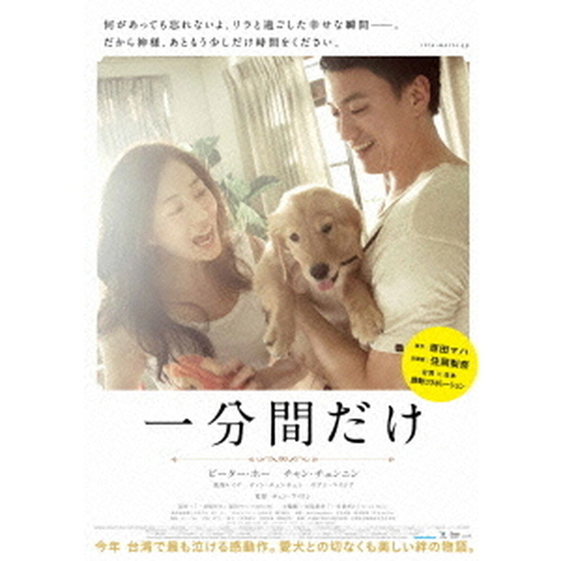 一分間だけ（ＤＶＤ）