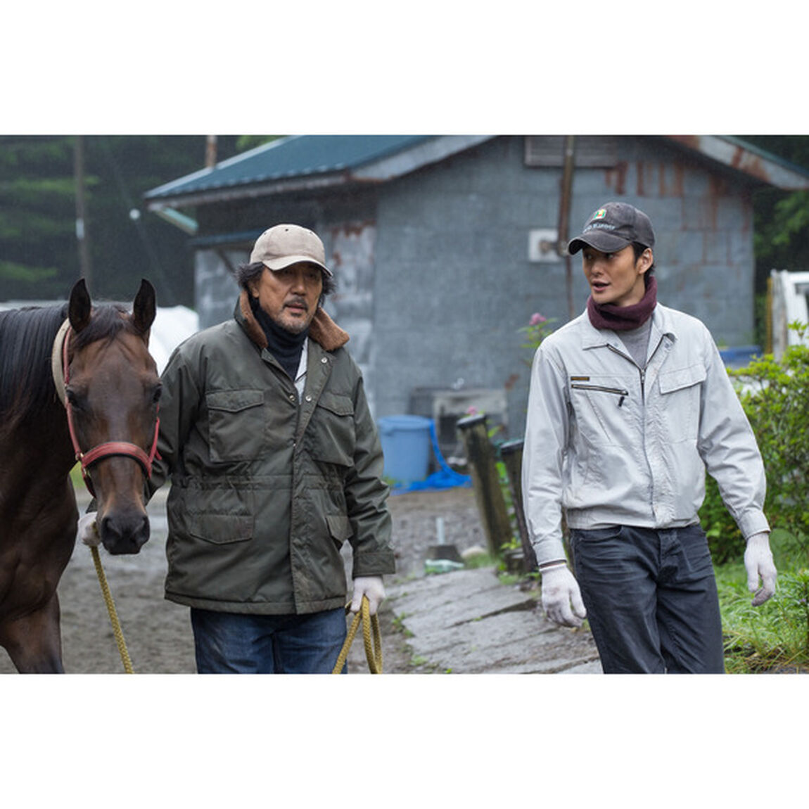 絆〜走れ奇跡の子馬〜（ＤＶＤ）