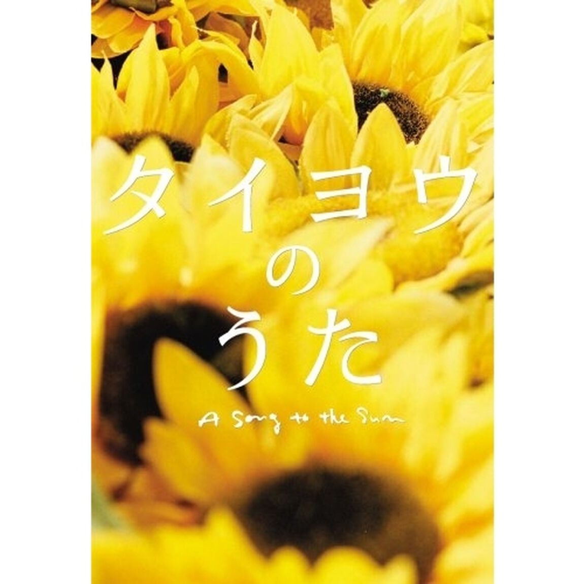 タイヨウのうた　プレミアム・エディション（ＤＶＤ）
