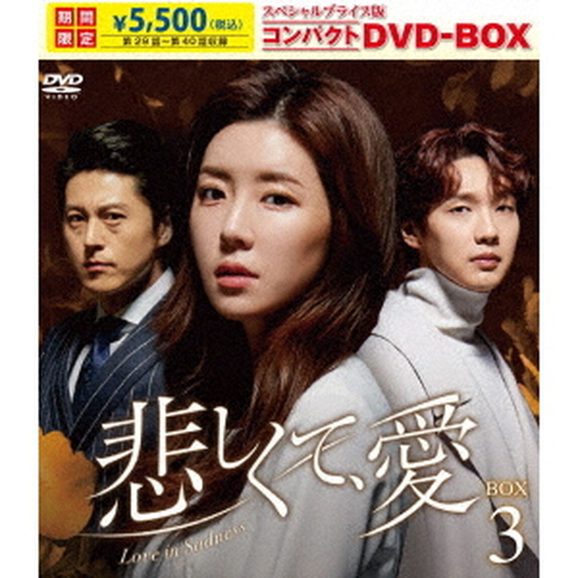悲しくて、愛　スペシャルプライス版コンパクトDVD－BOX3（ＤＶＤ）