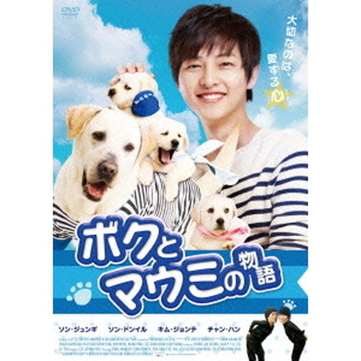 ボクとマウミの物語（ＤＶＤ）