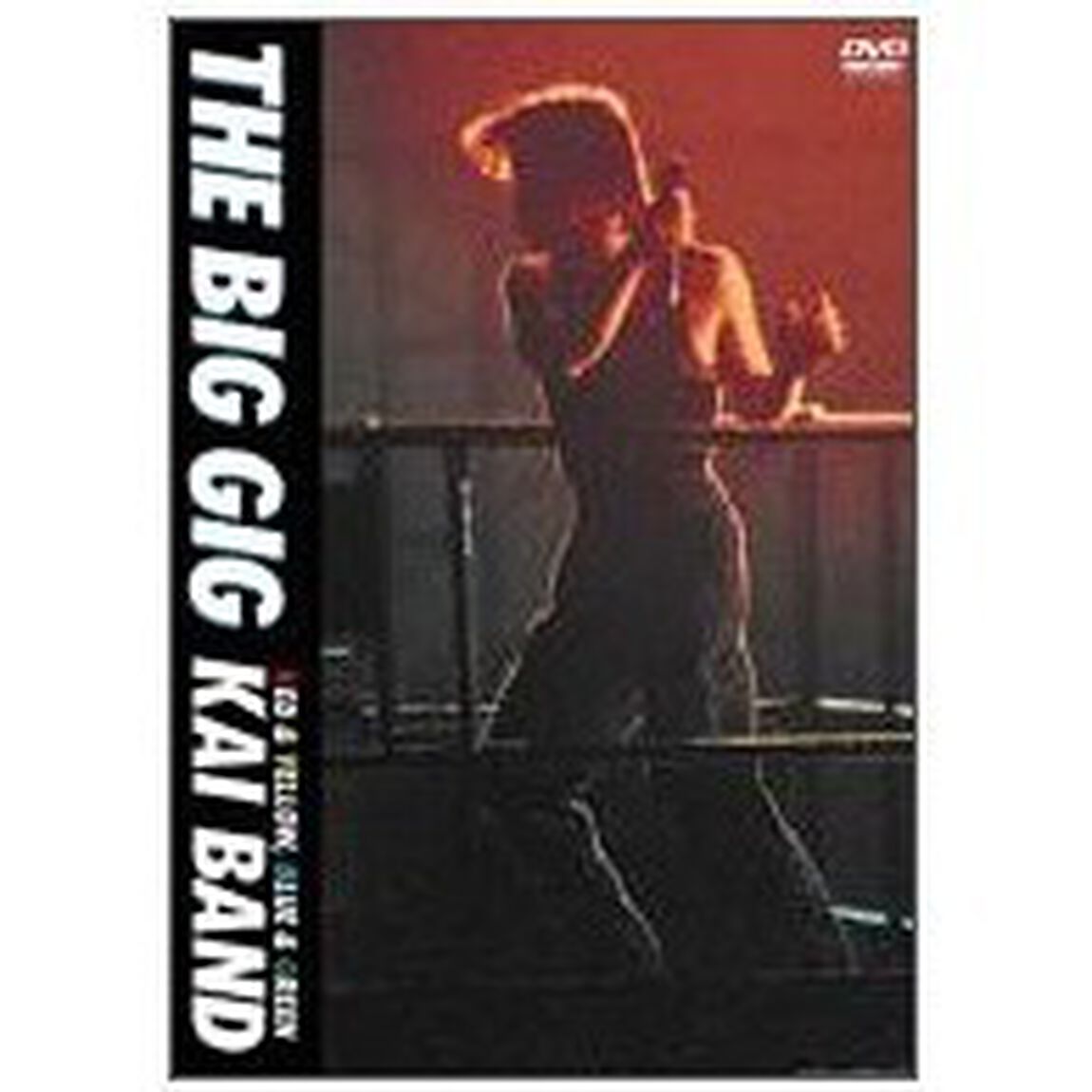 THE　BIG　GIG（ＤＶＤ）
