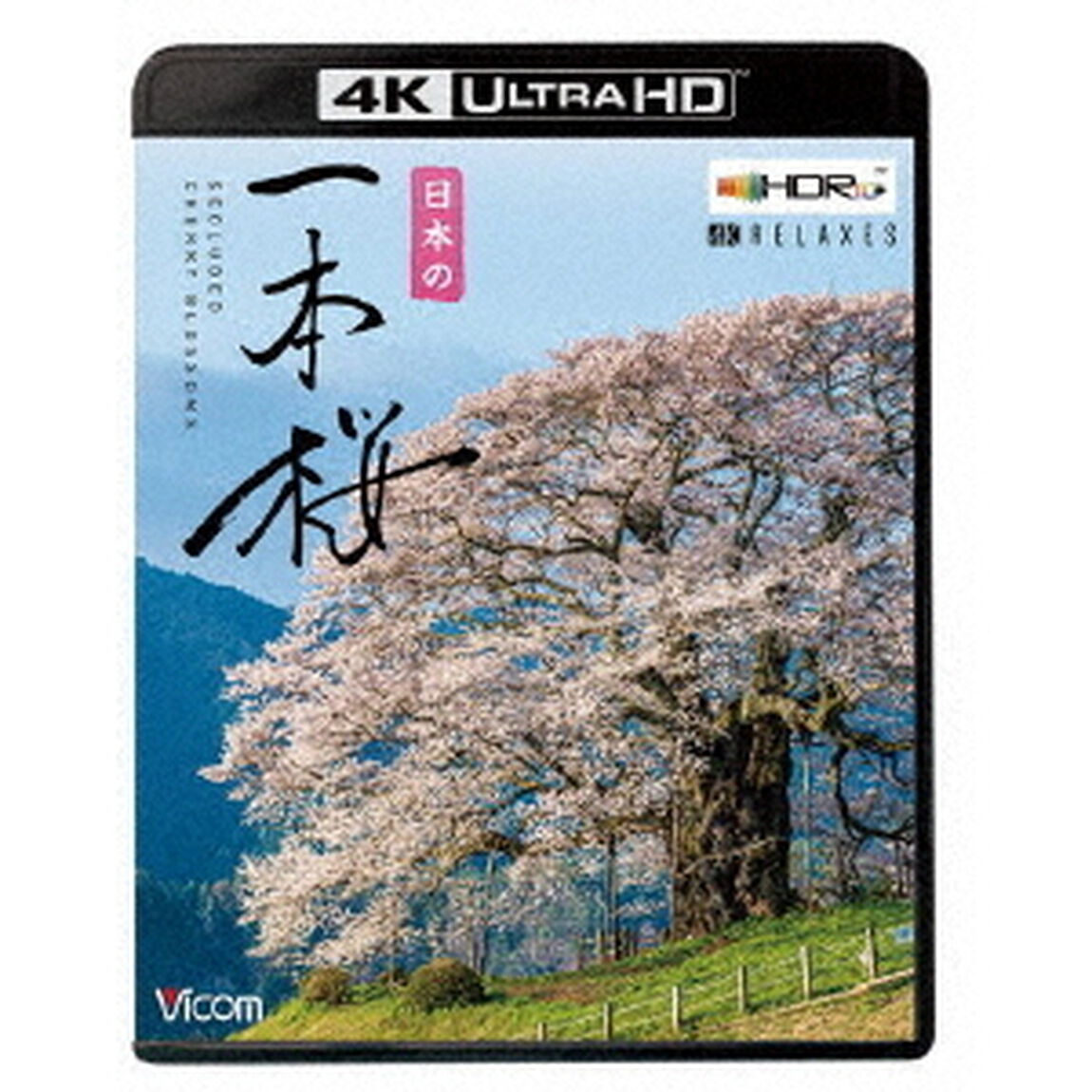 日本の一本桜　【4K・HDR】（Ｕｌｔｒａ ＨＤ Ｂｌｕ－ｒａｙ）