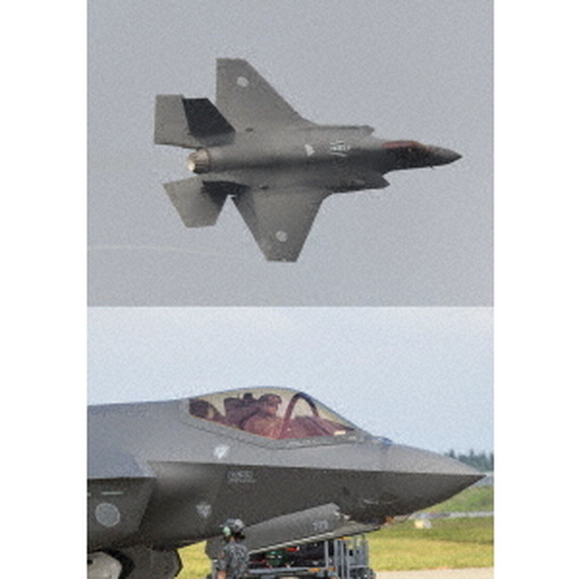 F－35A　三沢基地航空祭（ＤＶＤ）