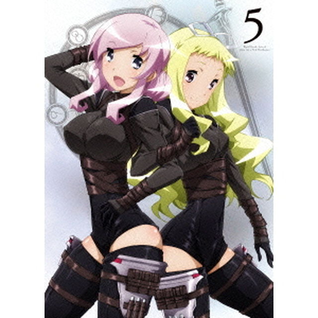 聖剣使いの禁呪詠唱　Vol．5（ＤＶＤ）
