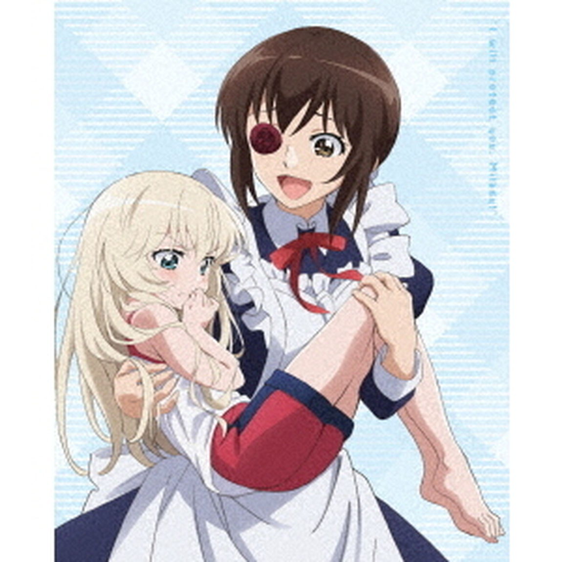 うちのメイドがウザすぎる！　Vol．1（ＤＶＤ）