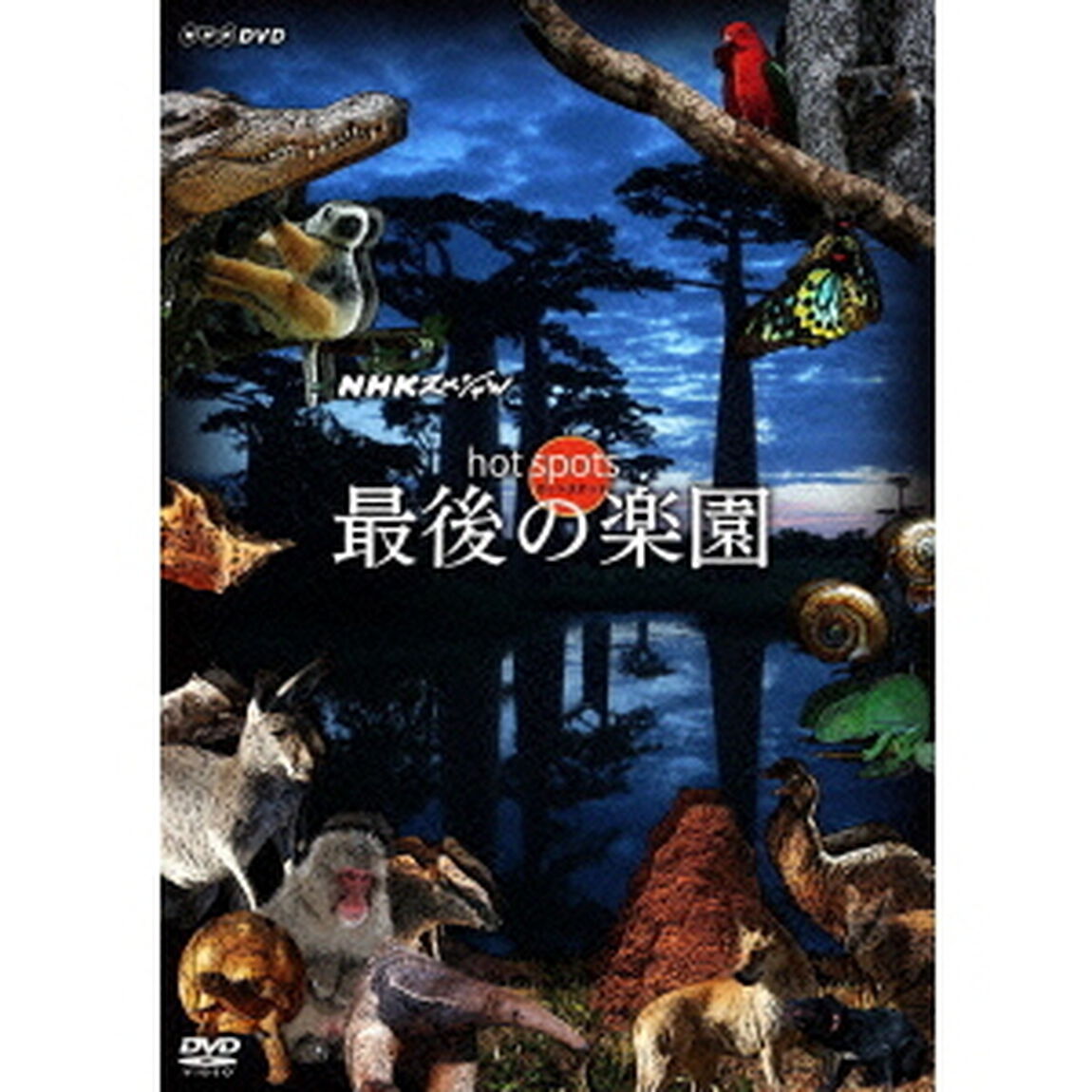 NHKスペシャル　ホットスポット　最後の楽園　DVD－BOX（ＤＶＤ）