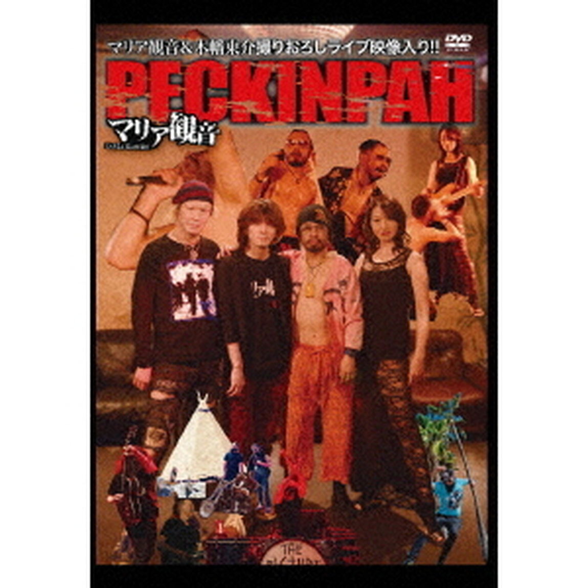 DVD－BOOK「ペキンパーVOL．6」特集　あの世へ一直線！最高に気持ちいい究極のデストリップマガジン！（ＤＶＤ）