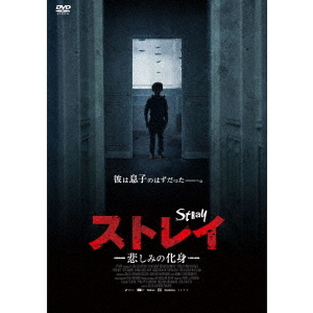 ストレイ　悲しみの化身（ＤＶＤ）